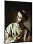 Saint Lawrence-Bernardo Cavallino-Mounted Giclee Print
