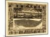 Saint Louis, Missouri - Panoramic Map-Lantern Press-Mounted Art Print