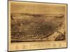 Saint Louis, Missouri - Panoramic Map-Lantern Press-Mounted Art Print