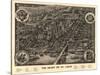 Saint Louis, Missouri - Panoramic Map-Lantern Press-Stretched Canvas