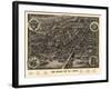 Saint Louis, Missouri - Panoramic Map-Lantern Press-Framed Art Print