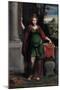 Saint Lucy, 1535-1540-Benvenuto Tisi Da Garofalo-Mounted Giclee Print