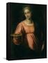 Saint Lucy-Palma Il Giovane-Framed Stretched Canvas