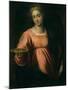 Saint Lucy-Palma Il Giovane-Mounted Giclee Print