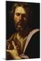 Saint Luke-Simon Vouet-Mounted Giclee Print