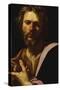 Saint Luke-Simon Vouet-Stretched Canvas