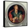 Saint Luke-Jacopo da Carucci Pontormo-Framed Stretched Canvas