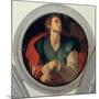 Saint Luke-Jacopo da Carucci Pontormo-Mounted Giclee Print