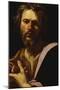 Saint Luke-Simon Vouet-Mounted Giclee Print