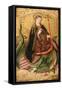 Saint Margaret-Juan Rexach-Framed Stretched Canvas