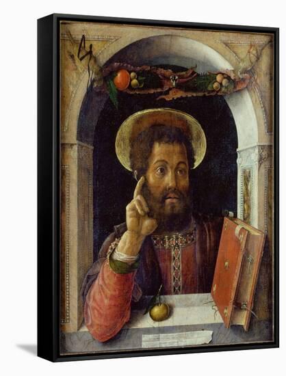 Saint Mark the Evangelist, C.1447 (Oil on Wood)-Andrea Mantegna-Framed Stretched Canvas