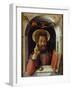 Saint Mark the Evangelist, C.1447 (Oil on Wood)-Andrea Mantegna-Framed Giclee Print