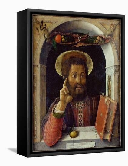 Saint Mark the Evangelist, C.1447 (Oil on Wood)-Andrea Mantegna-Framed Stretched Canvas