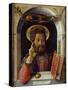 Saint Mark the Evangelist, C.1447 (Oil on Wood)-Andrea Mantegna-Stretched Canvas