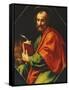 Saint Mark-Carlo Dolci-Framed Stretched Canvas