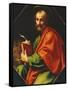 Saint Mark-Carlo Dolci-Framed Stretched Canvas