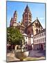 Saint Martin's Cathedral, Mainz, Germany-Miva Stock-Mounted Photographic Print
