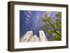 Saint Mary Church in Bergen-Jon Hicks-Framed Photographic Print