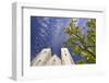 Saint Mary Church in Bergen-Jon Hicks-Framed Photographic Print