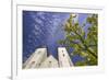 Saint Mary Church in Bergen-Jon Hicks-Framed Photographic Print