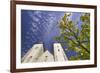 Saint Mary Church in Bergen-Jon Hicks-Framed Photographic Print