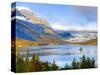 Saint Mary Lake and Wild Goose Island, Glacier National Park, Montana, USA-Jamie & Judy Wild-Stretched Canvas