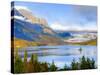 Saint Mary Lake and Wild Goose Island, Glacier National Park, Montana, USA-Jamie & Judy Wild-Stretched Canvas