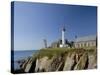 Saint Mathieu Lighthouse and Ruined Abbey, Brittany, France, Europe-Groenendijk Peter-Stretched Canvas