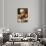 Saint Matthew-Guido Reni-Stretched Canvas displayed on a wall