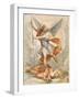 Saint Michael the Archangel, C1629-1630-Giuseppe Cesari-Framed Giclee Print