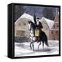 Saint Nicholas Riding into a Village Carrying a Basket and an Evergreen Bough-null-Framed Stretched Canvas