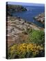 Saint Nicolas and Wild Flowers, Ile De Groix, Brittany, France, Europe-Thouvenin Guy-Stretched Canvas