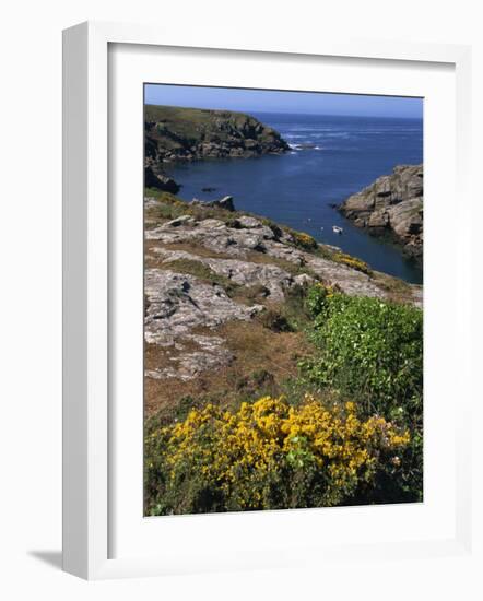 Saint Nicolas and Wild Flowers, Ile De Groix, Brittany, France, Europe-Thouvenin Guy-Framed Photographic Print