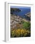 Saint Nicolas and Wild Flowers, Ile De Groix, Brittany, France, Europe-Thouvenin Guy-Framed Photographic Print