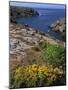 Saint Nicolas and Wild Flowers, Ile De Groix, Brittany, France, Europe-Thouvenin Guy-Mounted Photographic Print