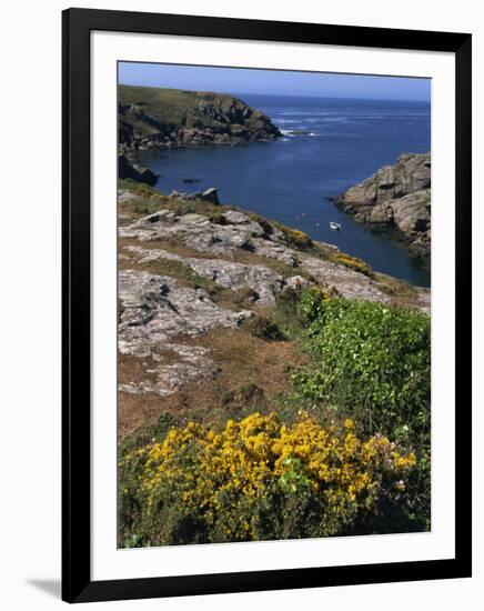 Saint Nicolas and Wild Flowers, Ile De Groix, Brittany, France, Europe-Thouvenin Guy-Framed Photographic Print