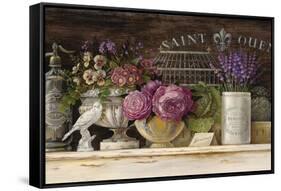 Saint Ouen Vignette-Angela Staehling-Framed Stretched Canvas