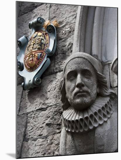 Saint Patrick's Cathedral in Dublin or Árd Eaglais Naomh Pádraig, Founded in 1191, Ireland-Carlos Sanchez Pereyra-Mounted Photographic Print