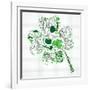 Saint Patrick's Day Doodles in the Shape of Clover with Four Leaves-Alisa Foytik-Framed Art Print