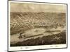 Saint Paul, Minnesota - Panoramic Map-Lantern Press-Mounted Art Print