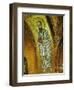 Saint Paul, Monastery Church, Hosios Loukas, Greece, Byzantine, 11th Century-null-Framed Giclee Print