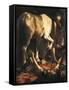 Saint Paul's Conversion-Caravaggio-Framed Stretched Canvas