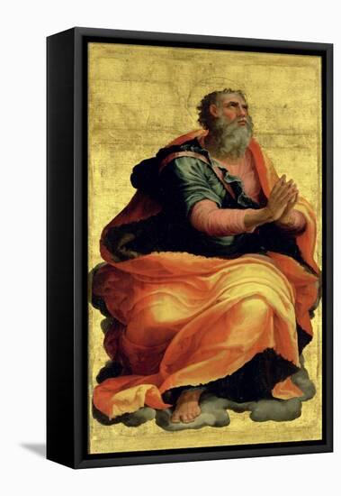 Saint Paul the Apostle-Marco Pino-Framed Stretched Canvas