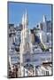 Saint Peter and Paul Catholic Church Steeples Houses San Francisco, California-William Perry-Mounted Photographic Print