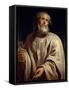 Saint Peter by Peter Paul Rubens-Fine Art-Framed Stretched Canvas