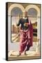 Saint Peter, c.1505-Bartolomeo Montagna-Framed Stretched Canvas