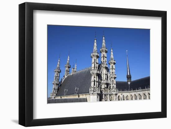 Saint Peter Collegiate Church, Leuven, Flanders, Belgium, Europe-Godong-Framed Photographic Print