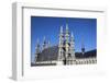 Saint Peter Collegiate Church, Leuven, Flanders, Belgium, Europe-Godong-Framed Photographic Print