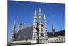 Saint Peter Collegiate Church, Leuven, Flanders, Belgium, Europe-Godong-Mounted Photographic Print