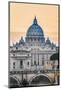 Saint Peter's Basilica in Vatican City, Italy-Anibal Trejo-Mounted Photographic Print